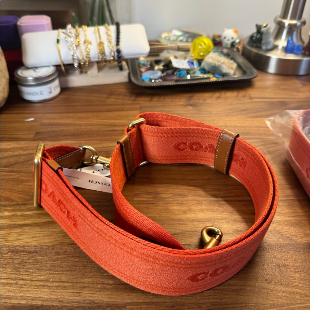Coach Colourblock Webbing Strap (Orange)